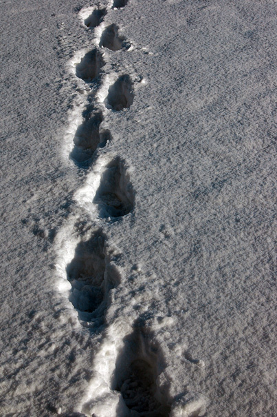 Snow steps